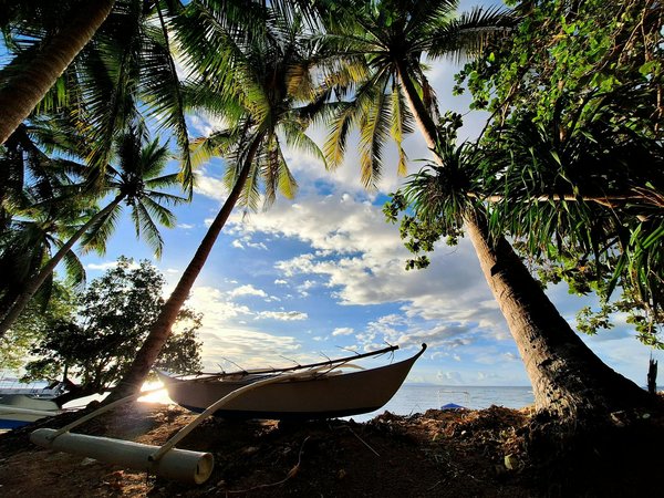 How to find the best deals on UK cruises for budget-conscious travelers?